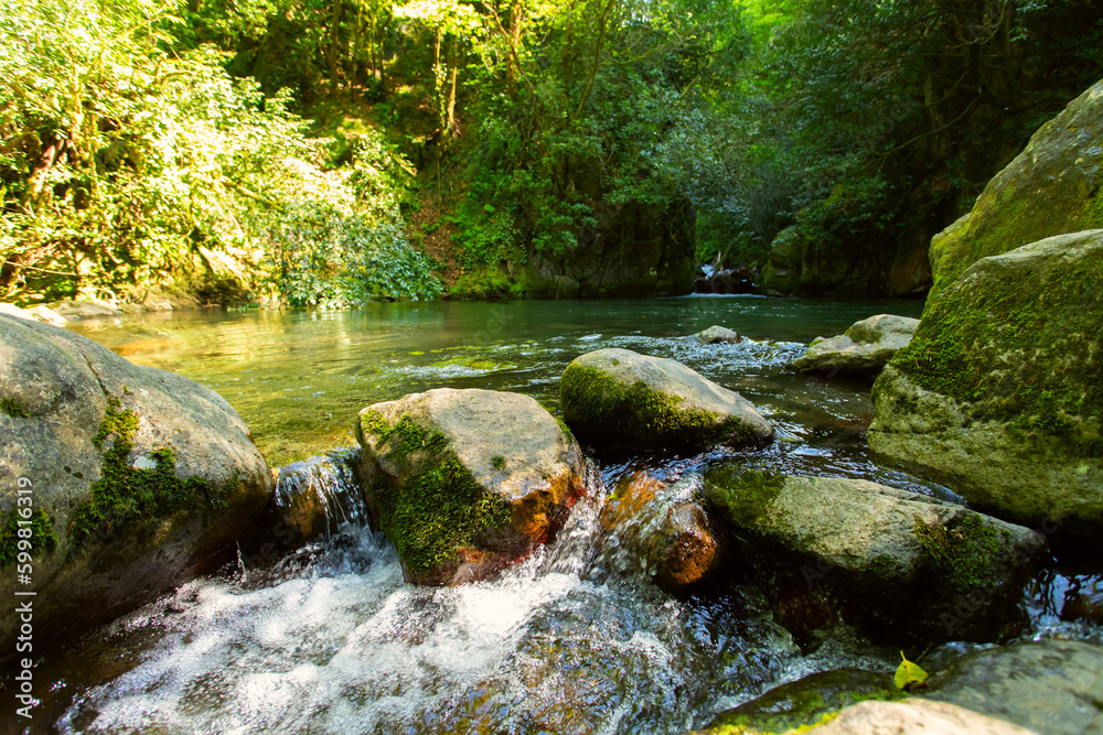 Fototapeta premium mountain lake surrounded by lush greenery and blooming trees