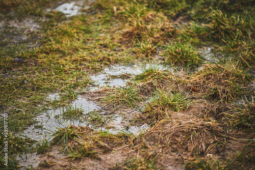 Foto Rain drainage and sewage problems