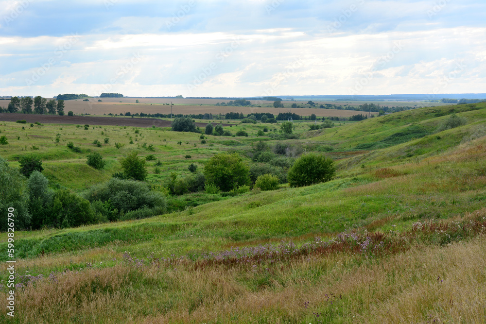 A rolling landscape with green grass and a few trees in the foreground in cloudy day  