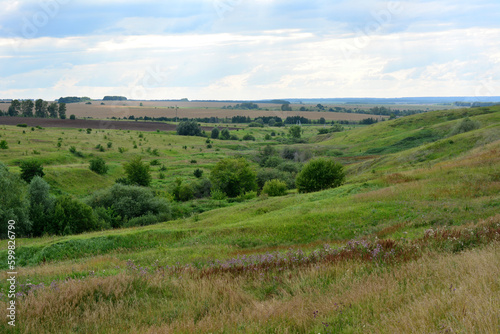 A rolling landscape with green grass and a few trees in the foreground in cloudy day 