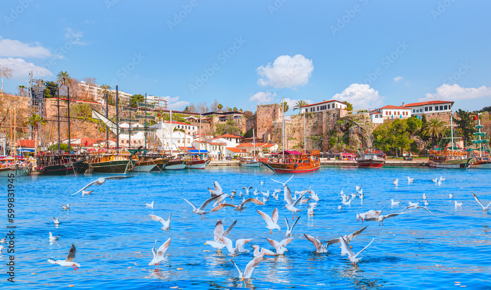 Naklejka premium Old town (Kaleici) with seagull - Antalya, Turkey