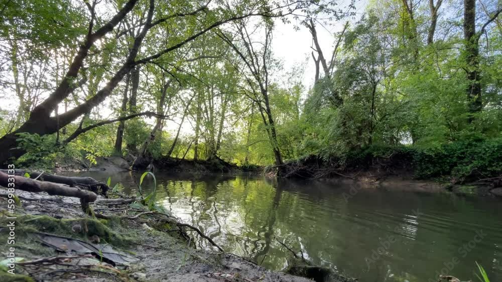 Veterans Park located in Lexington, KY, the tranquil scene of West Hickman Creek observed from the bank, where the overhanging branches of trees create a picturesque view over the flowing water. Veterans Park located in Lexington, KY, the tranquil scene of West Hickman Creek observed from the bank, where the overhanging branches of trees create a picturesque view over the flowing water.