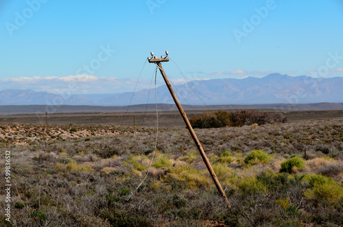 Landscape scene with a skew telephone pole with broken lines, broken communication photo