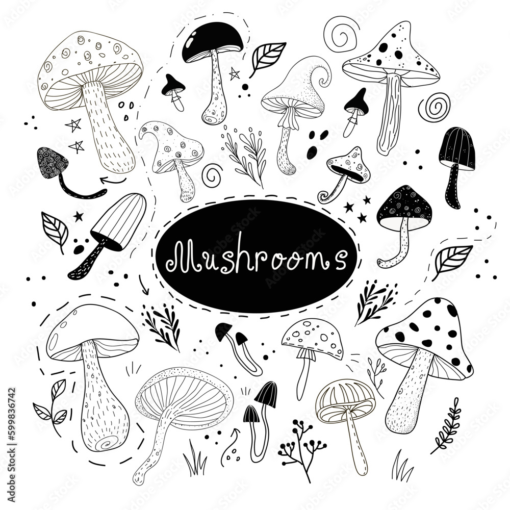 Mystical mushrooms isolated clipart set, magic line celestial mushroom, witchy esoteric objects, floral mystical - black and white vector illustration Mystical mushrooms isolated clipart set, magic line celestial mushroom, witchy esoteric objects, floral mystical - black and white vector illustration