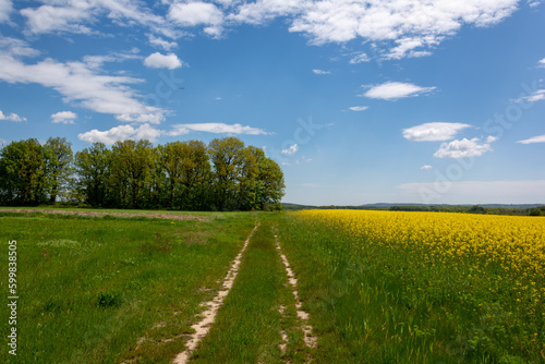 road in the field with blue sky