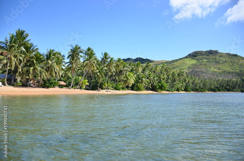 Oceanview Palmbeach fijian island photo