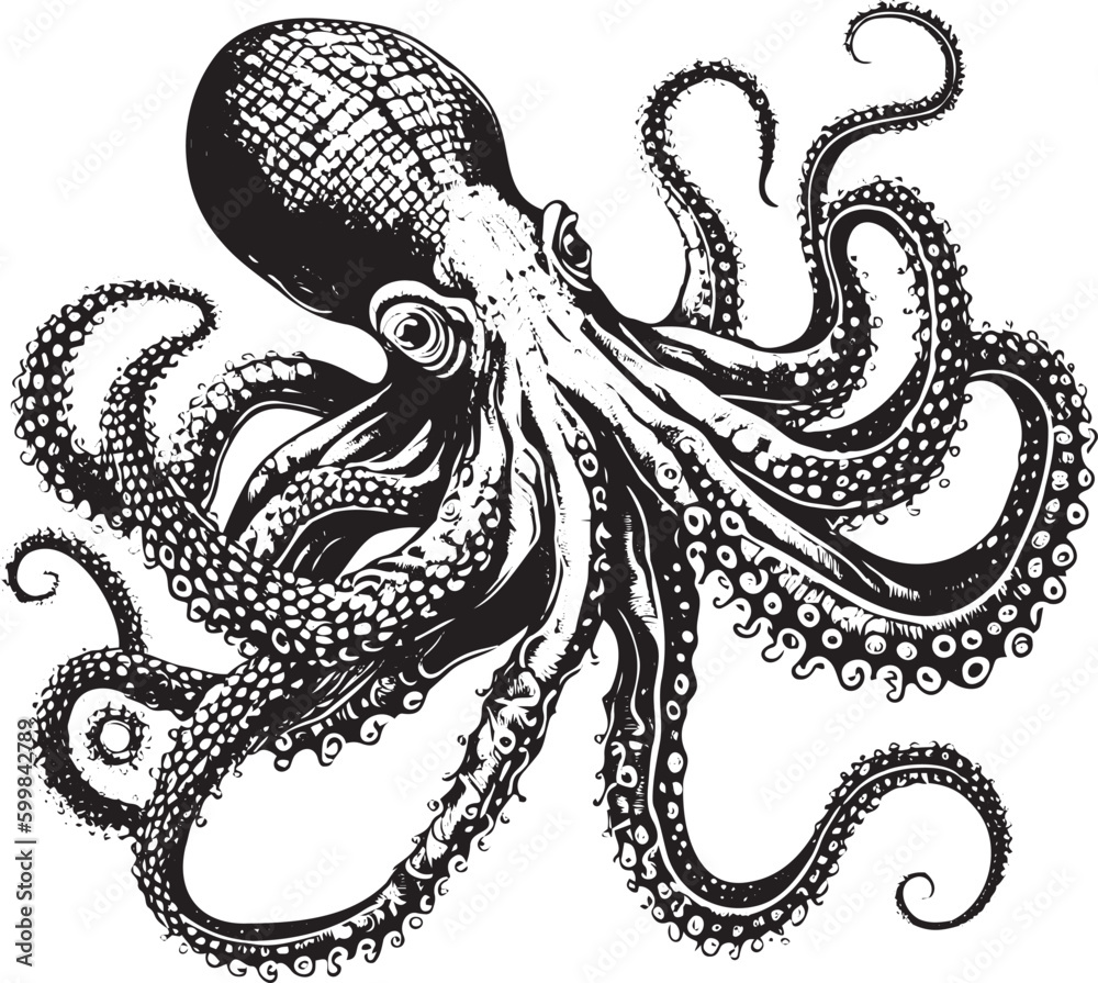 Octopus. Vector black engraving vintage illustrations. Isolated on