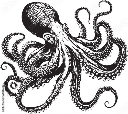 Octopus. Vector black engraving vintage illustrations. Isolated on white background. Engraving style vector illustration of octopus.