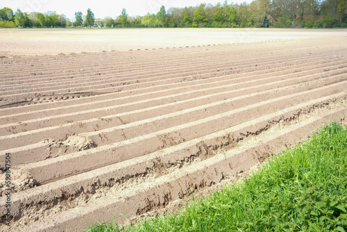 preparation for a potato field in spring