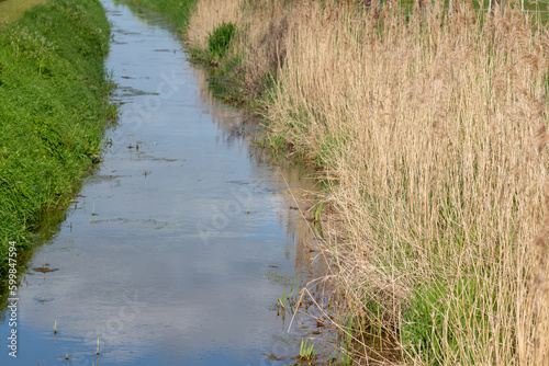 grass and water