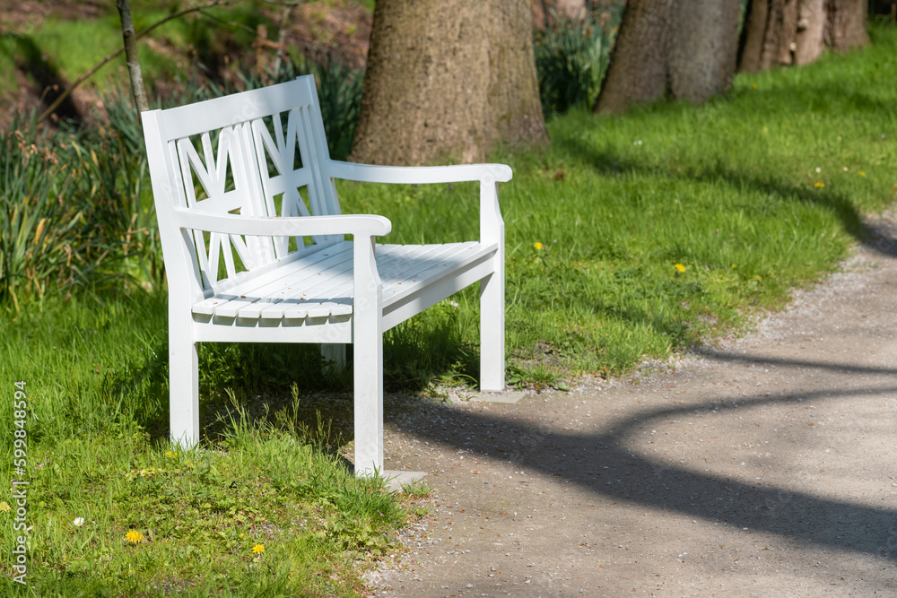 wooden bench in the park