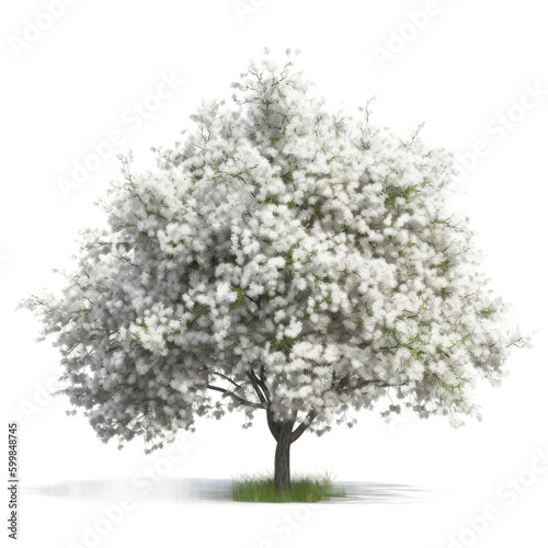 Blooming tree. Transparent isolated background. AI generated © ArtStage