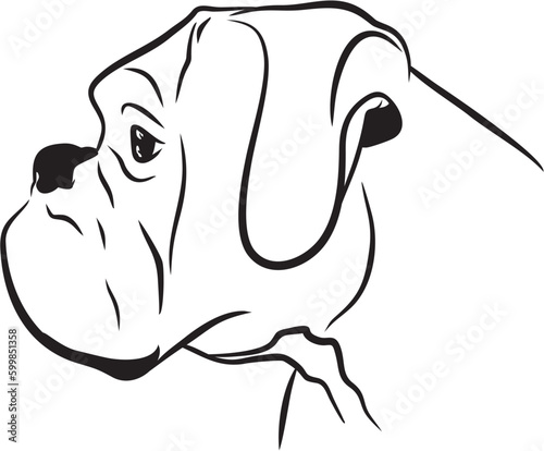 Silhouette profile head of a boxer. Hand drawing vector isolated dog icon. 
