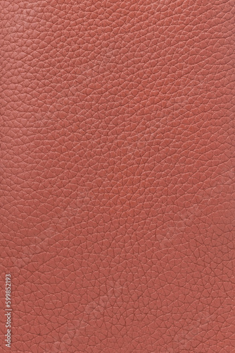terracotta genuine calfskin. leather texture background © Andrii