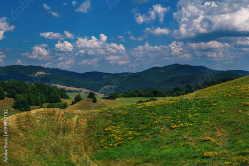 Beautiful summer landscape of National natural park - Low Tatras, Slovakia. Hills with dry grass, green trees and blue sky.