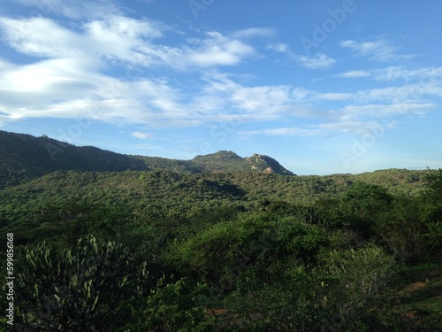 Mountain with beautiful blue sky clouds in forest © Gokul Rajan