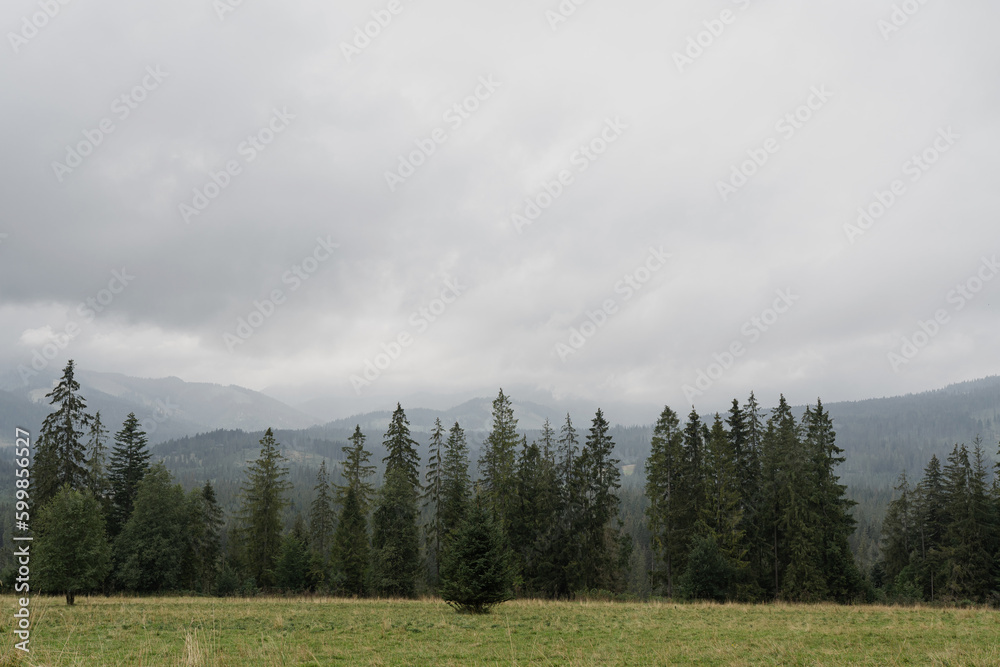 Fototapeta premium Mountain hill, forest, sky and clouds. Scenic nature landscape