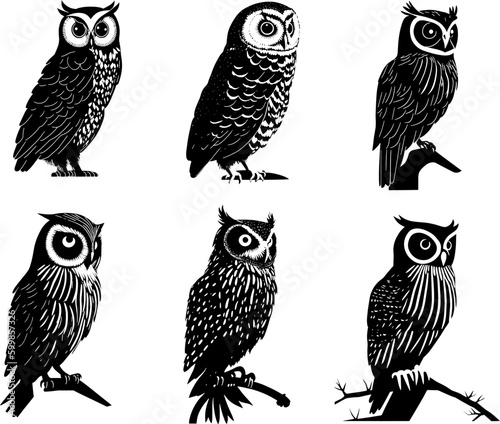 Owl vector set 2