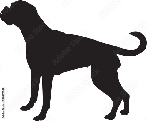 Vector Silhouetten Boxer dog. Outliner vector boxer dog icon. 