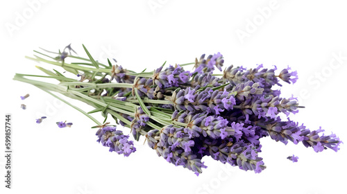Lavender isolated transparent background png generative AI