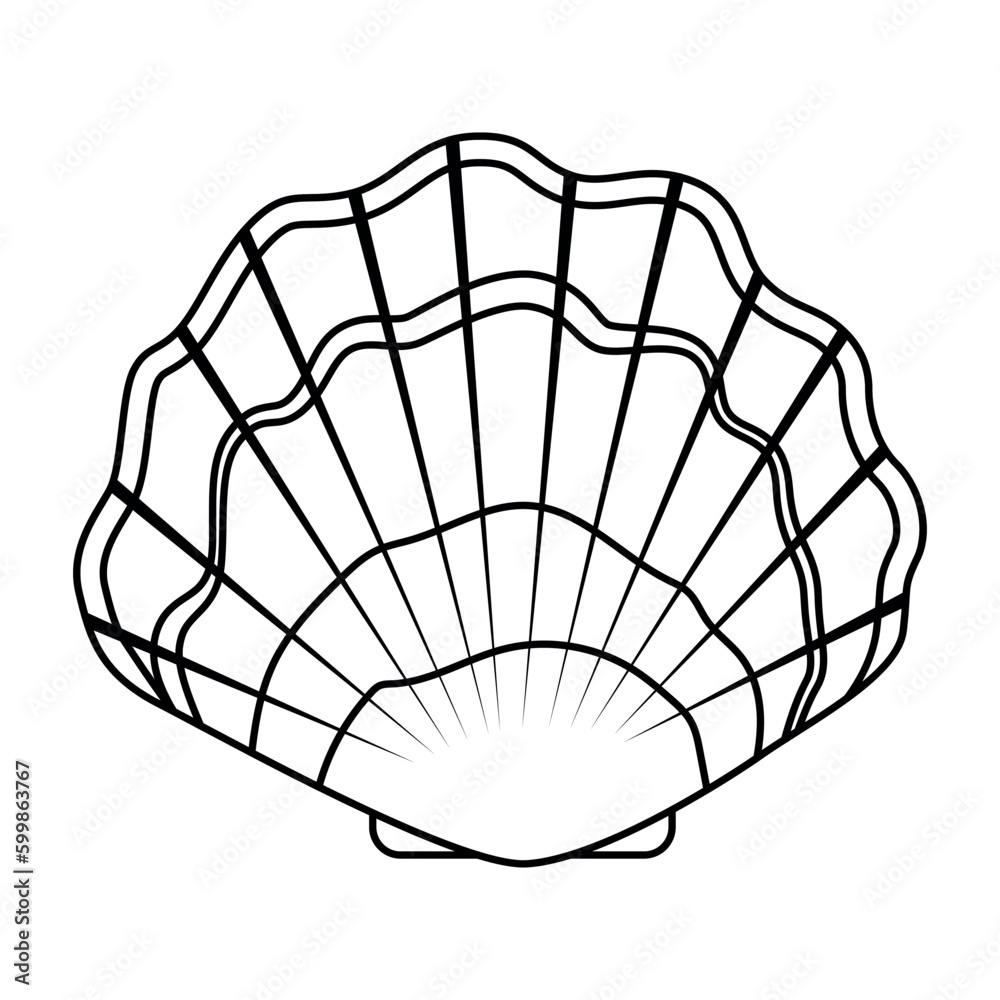 Vector Seashells set. Hand drawn illustration of sea Shells on isolated  background. Drawing of Scallop and Starfish on outline style. Sketch of  Cockleshell painted by black ink. Underwater line art. 27898984 Vector