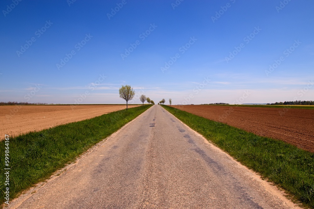 A long straight road with trees along near Korolupy, Czech republic