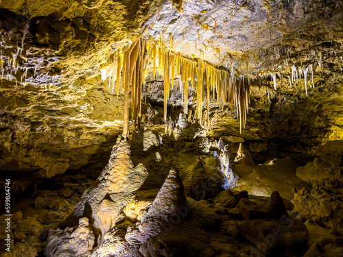 Naracoorte Caves in South Australia photo