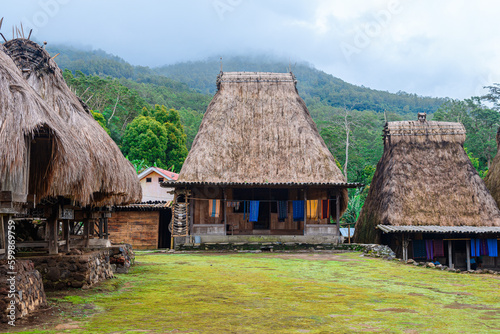 traditional village of flores island, indonesia photo