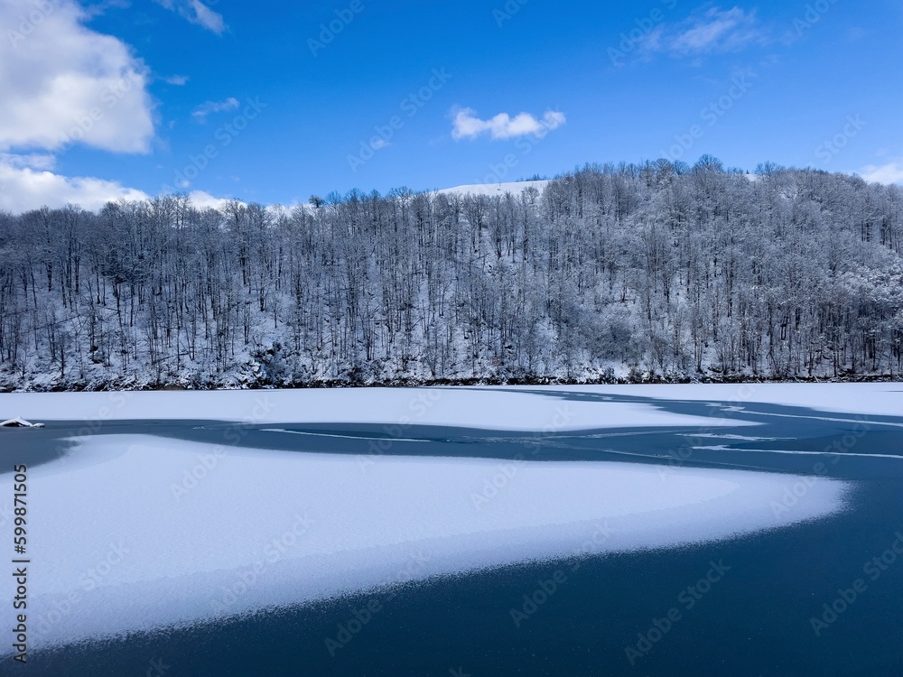 Frozen lake surrounded by forest