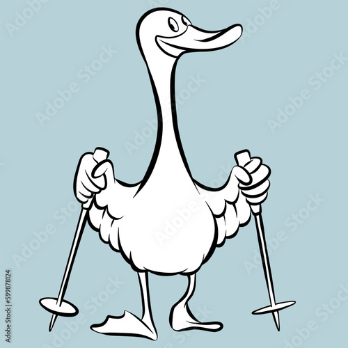 Funny duck with walking stick doing nordic walking, cartoon vector drawing