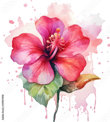 watercolor illustration of pink flower