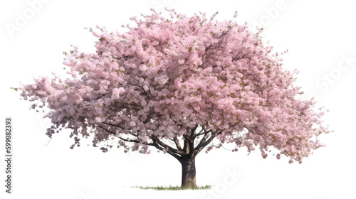 Foto Cherry tree isolated transparent background png Generative IA
