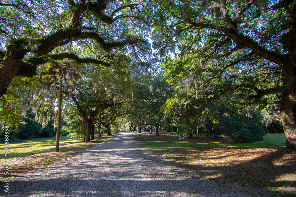 Entrance to the McLeod Plantation Historic Site, Charleston, SC