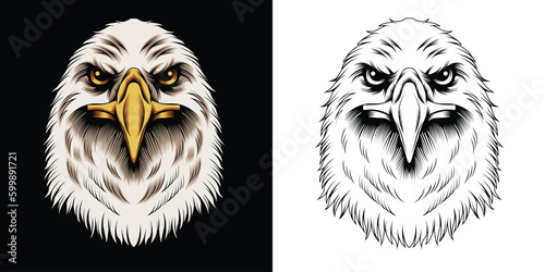 Eagle head vector illustration