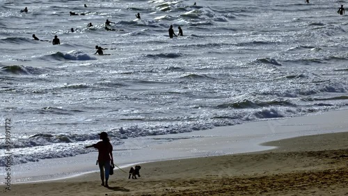 湘南海岸の夕方 - 犬の散歩中にサーファーに手を振る人 - Shonan Beach landscape - 