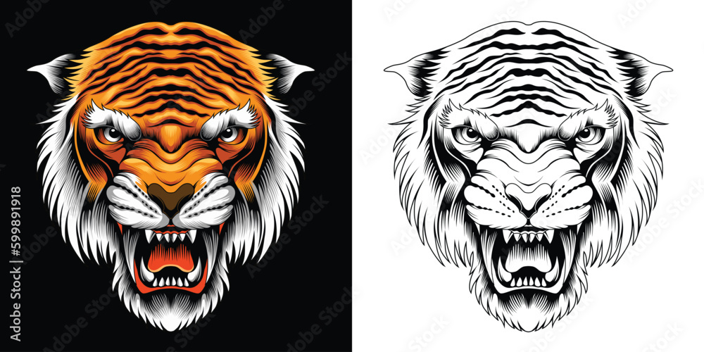 Tiger head vector illustration Tiger head vector illustration