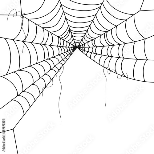 spider web wallpapers. cobweb background. illustration of a web. Vector Spider web on white. Spider web elements for decor. spiderweb. 