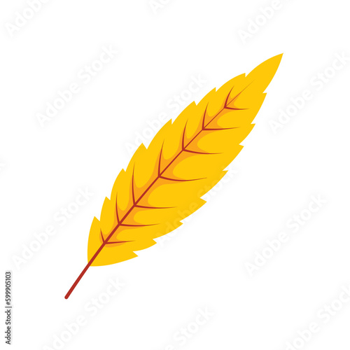 Autumn Leaves Illustration