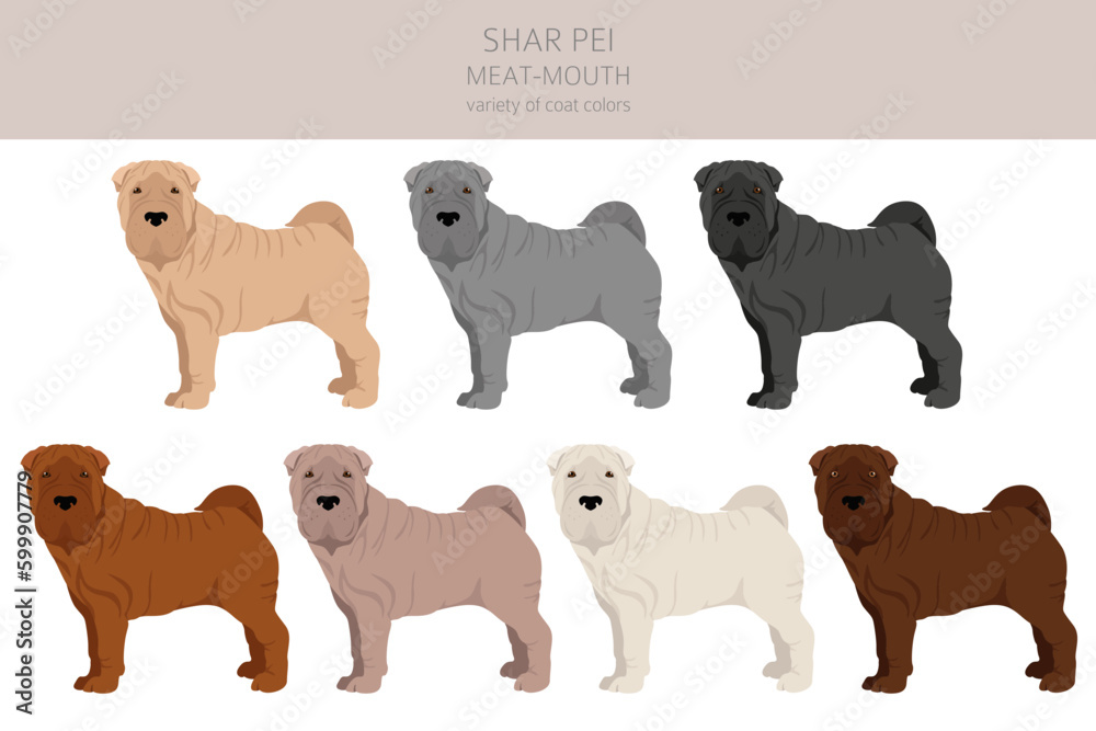 Shar Pei (modern) meat mouth clipart. Different poses, coat colors set