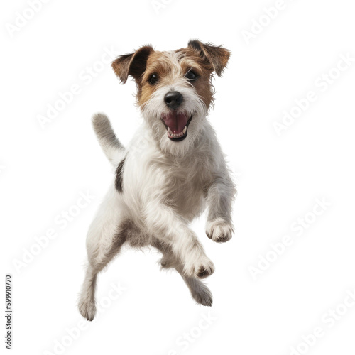 Cute jumping dog. Transparent isolated background. AI generated