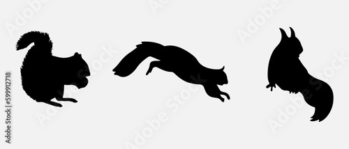 isolated black silhouette of a squirrel   vector collection