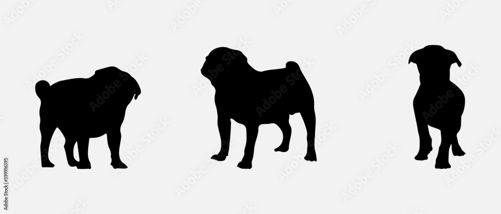 Naklejka premium isolated black silhouette of a pug dog , vector collection