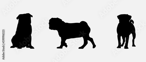 Photography isolated black silhouette of a pug dog , vector collection