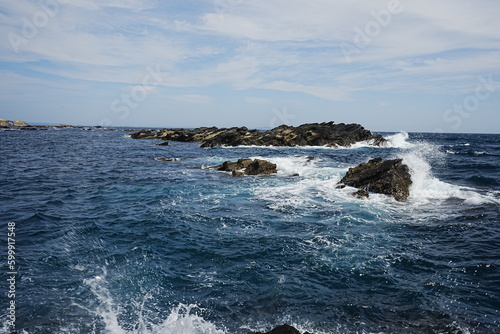 Jyogashima Island Seashore in Kanagawa, Japan - 日本 神奈川 城ヶ島 海岸