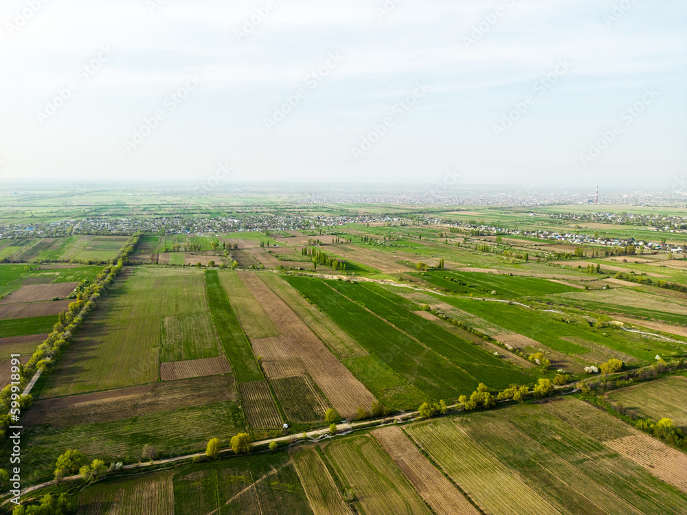 Aerial view of fields during spring