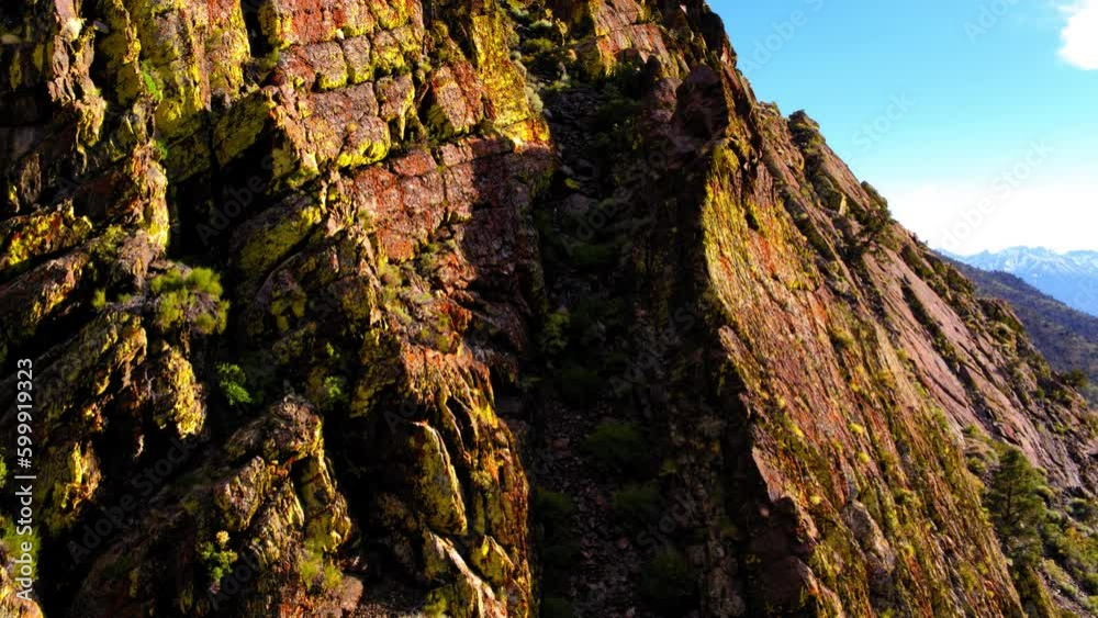 Aerial Shot Of Plants On Rock Formations During Sunny Day, Drone Ascending Forward Over Mountain - Mammoth Lakes, California Aerial Shot Of Plants On Rock Formations During Sunny Day, Drone Ascending Forward Over Mountain - Mammoth Lakes, California