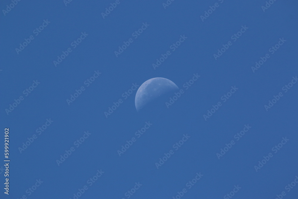 The moon The moon