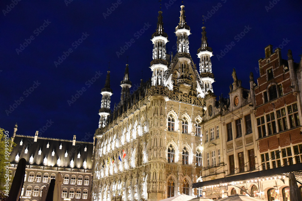 Hôtel de ville de Louvain la nuit. Belgique