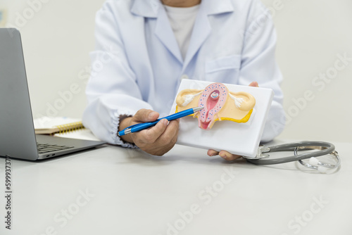 Gynecologist consultation with uterus model for patient and copy space.Doctor explain women health treatment and diagnosis of cervix diseases at gynecology on white background.