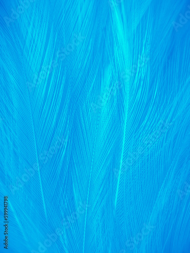Beautiful abstract blue feathers on white background, white feather texture and blue background, feather wallpaper, blue texture banners, love theme, valentines day, light blue texture gradient